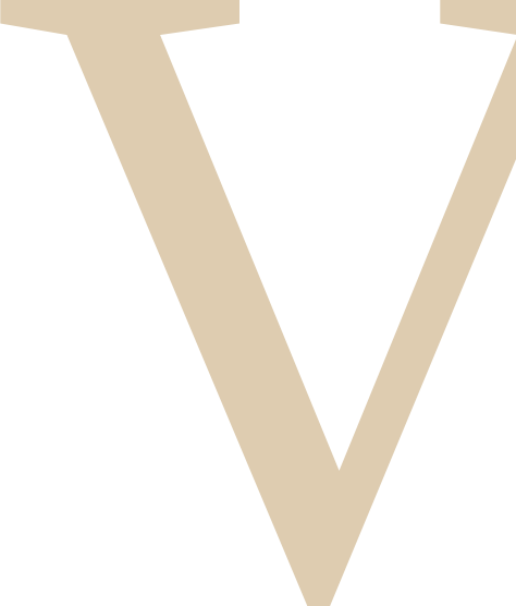 Big V Logo